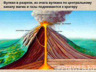 Вулкан в разрезе, из очага вулкана по центральному каналу магма и газы поднимают