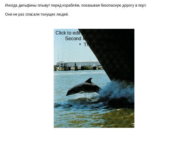 Иногда дельфины плывут перед кораблём, показывая безопасную дорогу в порт. Они не раз спасали тонущих людей.