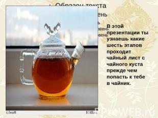 В этой презентации ты узнаешь какие шесть этапов проходит чайный лист с чайного