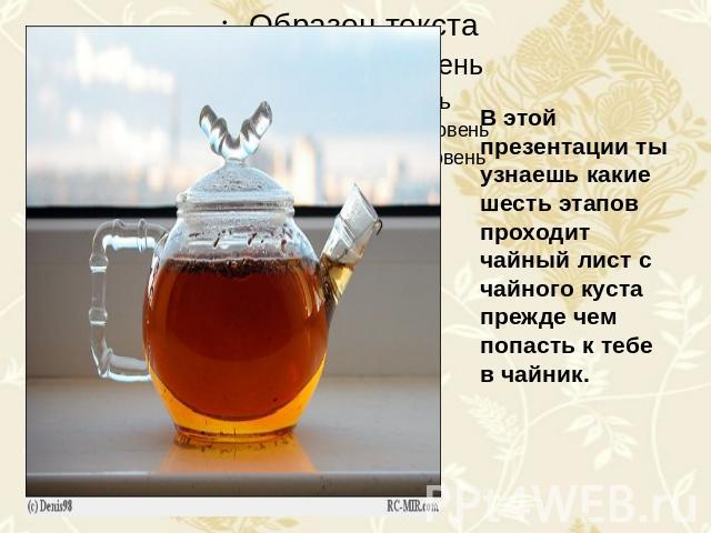В этой презентации ты узнаешь какие шесть этапов проходит чайный лист с чайного куста прежде чем попасть к тебе в чайник.