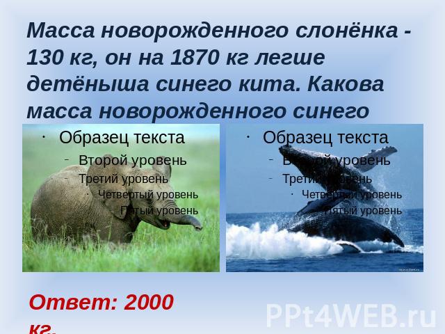 Масса новорожденного слонёнка - 130 кг, он на 1870 кг легше детёныша синего кита. Какова масса новорожденного синего кита? Ответ: 2000 кг.