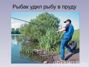 Рыбак удил рыбу в пруду