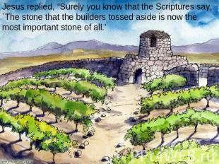 Jesus replied, “Surely you know that the Scriptures say, `The stone that the bui