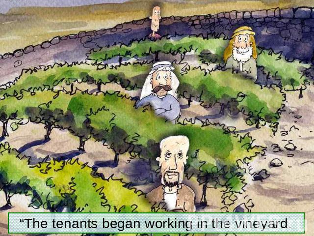 “The tenants began working in the vineyard.