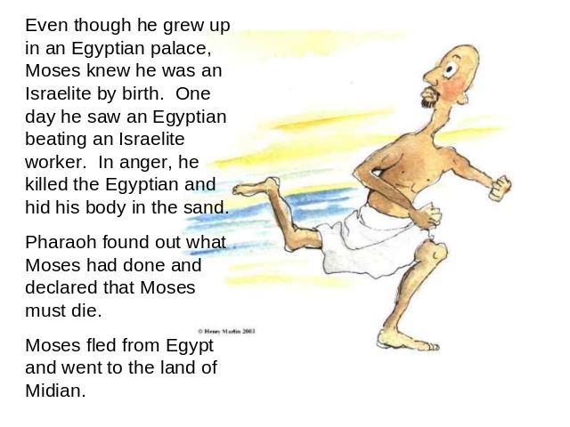 Even though he grew up in an Egyptian palace, Moses knew he was an Israelite by birth. One day he saw an Egyptian beating an Israelite worker. In anger, he killed the Egyptian and hid his body in the sand. Pharaoh found out what Moses had done and d…
