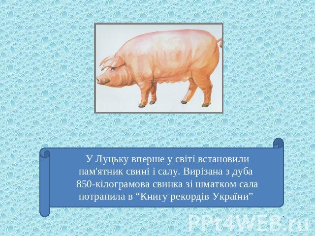 У Луцьку вперше у світі встановили пам'ятник свині і салу. Вирізана з дуба 850-кілограмова свинка зі шматком сала потрапила в “Книгу рекордів України”