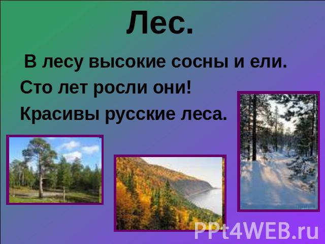 Лес. В лесу высокие сосны и ели. Сто лет росли они! Красивы русские леса.