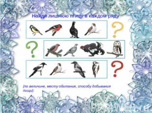 Найди лишнюю птицу в каждом ряду (по величине, месту обитания, способу добывания