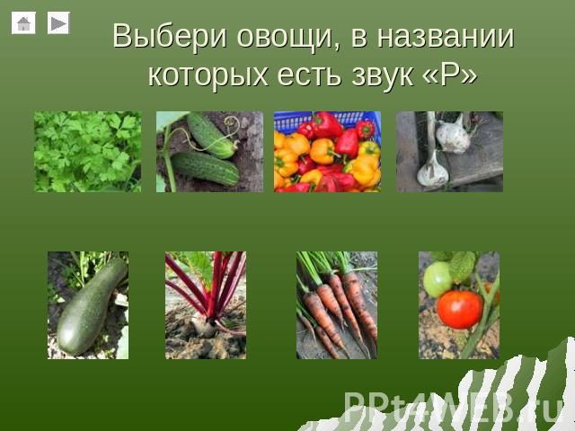 Выбери овощи, в названии которых есть звук «Р»
