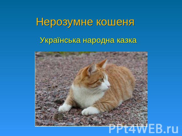 Нерозумне кошеня Українська народна казка