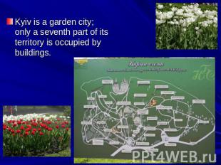 Kyiv is a garden city; only a seventh part of its territory is occupied by build