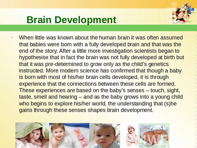 Brain Development When little was known about the human brain it was often assumed that babies were born with a fully developed brain and that was the end of the story. After a little more investigation scientists began to hypothesise that in fact t…