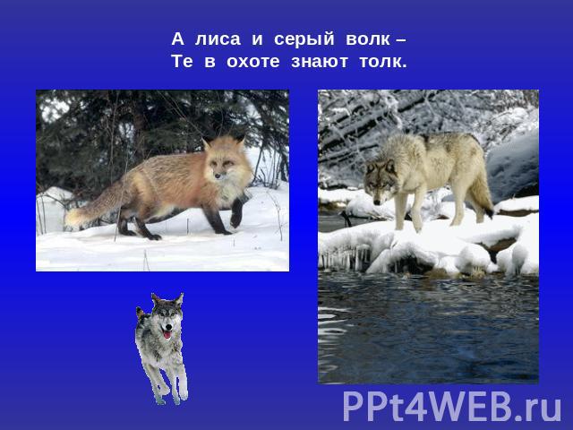 А лиса и серый волк – Те в охоте знают толк.