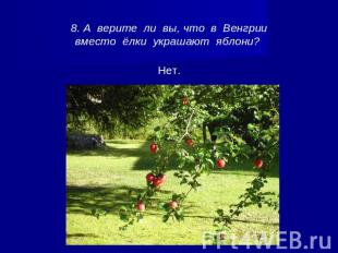 8. А верите ли вы, что в Венгрии вместо ёлки украшают яблони?