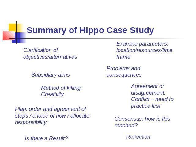 Summary of Hippo Case Study