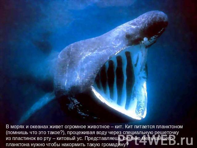 В морях и океанах живет огромное животное – кит. Кит питается планктоном (помнишь что это такое?), процеживая воду через специальную решеточку из пластинок во рту – китовый ус. Представляешь сколько мельчайшего планктона нужно чтобы накормить такую …