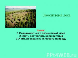 Экосистема леса Цели: 1.Познакомиться с экосистемой леса 2.Уметь составлять цепи