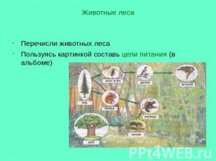 Животные леса Перечисли животных леса Пользуясь картинкой составь цепи питания (