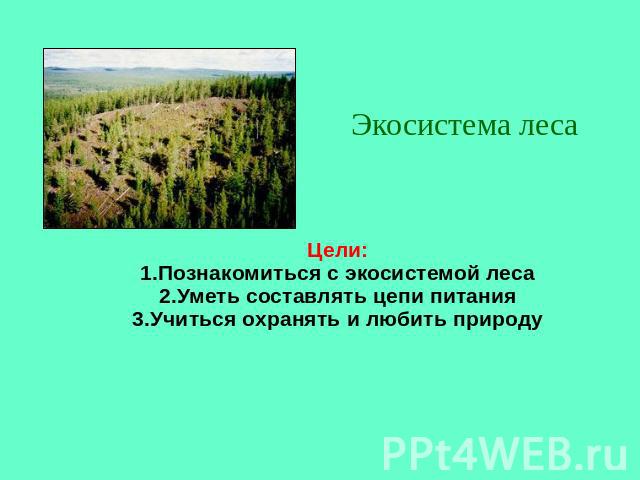 Экосистема леса Цели: 1.Познакомиться с экосистемой леса 2.Уметь составлять цепи питания 3.Учиться охранять и любить природу