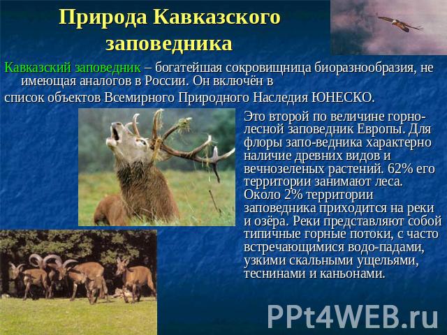 Природа Кавказского заповедника Кавказский заповедник – богатейшая сокровищница биоразнообразия, не имеющая аналогов в России. Он включён в список объектов Всемирного Природного Наследия ЮНЕСКО. Это второй по величине горно-лесной заповедник Европы.…