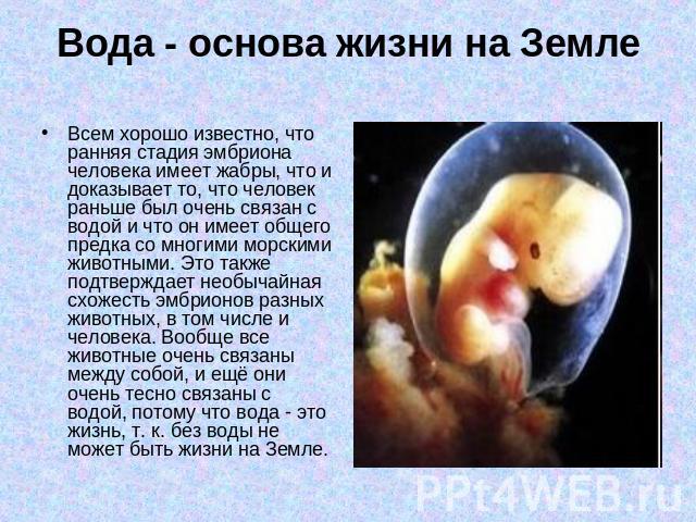 Вода - основа жизни на Земле Всем хорошо известно, что ранняя стадия эмбриона человека имеет жабры, что и доказывает то, что человек раньше был очень связан с водой и что он имеет общего предка со многими морскими животными. Это также подтверждает н…