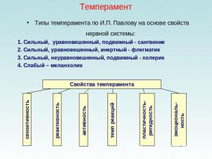 Темперамент Типы темперамента по И.П. Павлову на основе свойств нервной системы: