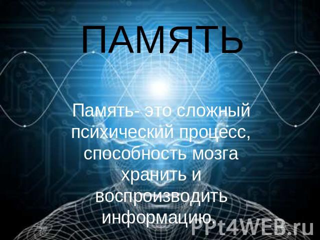 ПАМЯТЬ Память- это сложный психический процесс, способность мозга хранить и воспроизводить информацию.