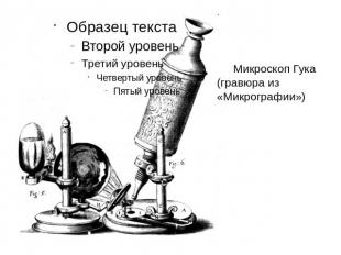 Микроскоп Гука (гравюра из «Микрографии»)