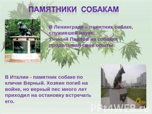 В Ленинграде – памятник собаке, служившей науке. Ученый Павлов на собаках продел