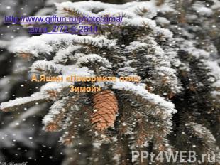 http://www.giffun.ru/photo/zima/zima_2/72-0-2844 А.Яшин «Покормите птиц Зимой»