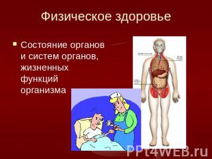 Физическое здоровье Состояние органов и систем органов, жизненных функций органи
