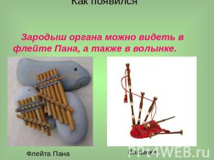 Зародыш органа можно видеть в флейте Пана, а также в волынке.