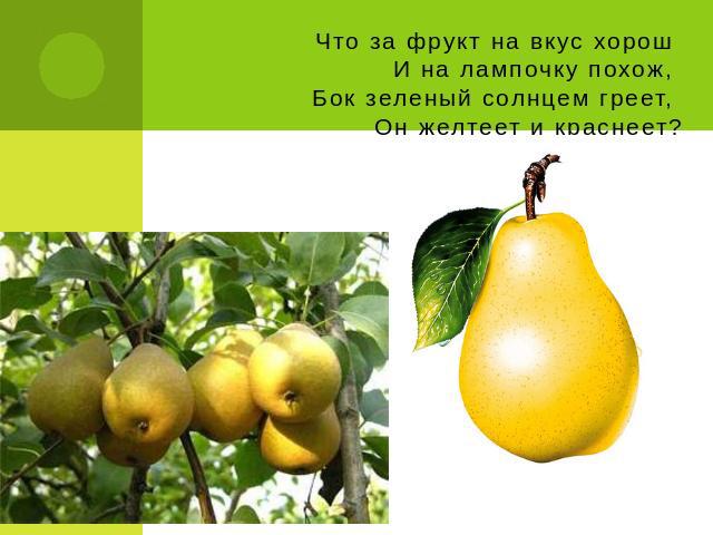 Что за фрукт на вкус хорош И на лампочку похож, Бок зеленый солнцем греет, Он желтеет и краснеет?