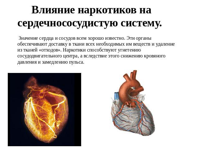 Влияние наркотиков на сердечнососудистую систему. Значение сердца и сосудов всем хорошо известно. Эти органы обеспечивают доставку в ткани всех необходимых им веществ и удаление из тканей «отходов». Наркотики способствуют угнетению сосудодвигательно…