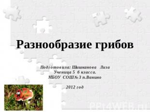 Разнообразие грибов Подготовила: Шишканова Лиза Ученица 5 б класса. МБОУ СОШ №3