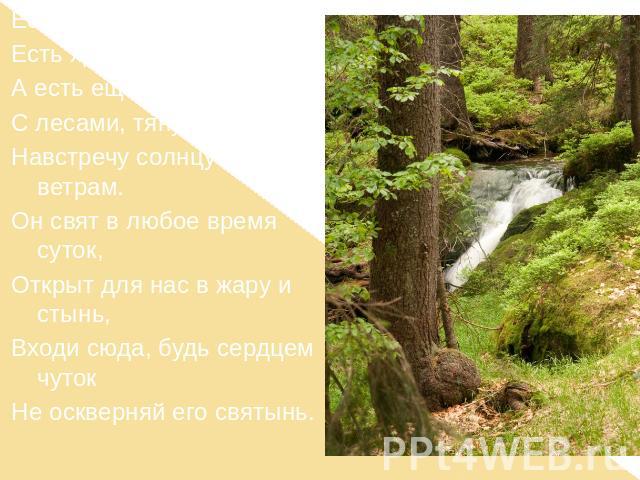 Есть просто храм, Есть храм науки, А есть еще природы храм С лесами, тянущими руки Навстречу солнцу и ветрам. Он свят в любое время суток, Открыт для нас в жару и стынь, Входи сюда, будь сердцем чуток Не оскверняй его святынь.