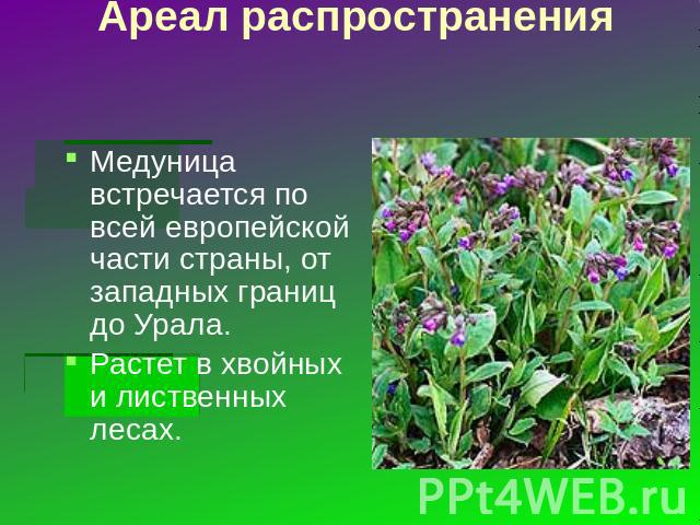 Ареал распространения Медуница встречается по всей европейской части страны, от западных границ до Урала. Растет в хвойных и лиственных лесах.