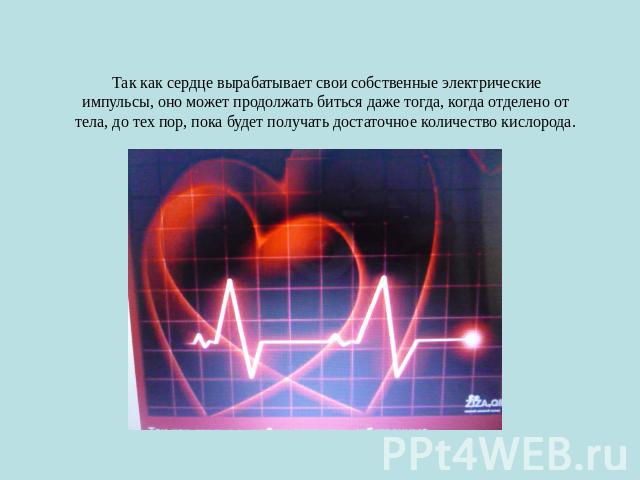 Так как сердце вырабатывает свои собственные электрические импульсы, оно может продолжать биться даже тогда, когда отделено от тела, до тех пор, пока будет получать достаточное количество кислорода.