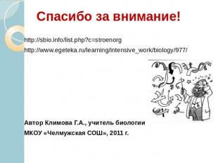Спасибо за внимание! http://sbio.info/list.php?c=stroenorg http://www.egeteka.ru