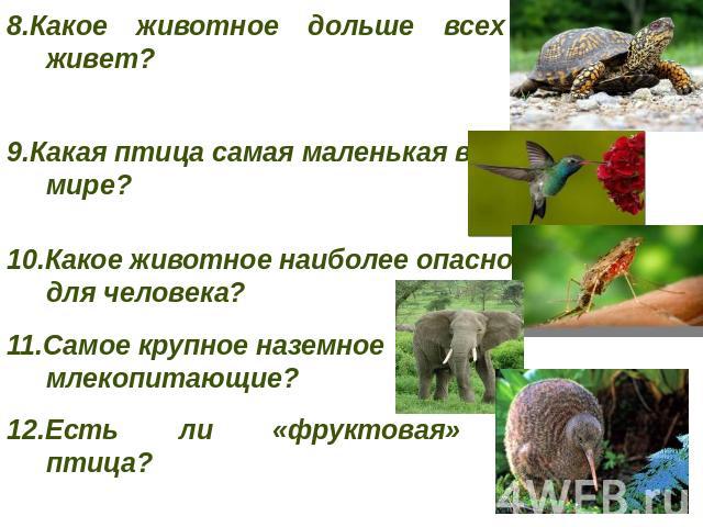 8.Какое животное дольше всех живет? 9.Какая птица самая маленькая в мире? 10.Какое животное наиболее опасно для человека? 11.Самое крупное наземное млекопитающие? 12.Есть ли «фруктовая» птица?