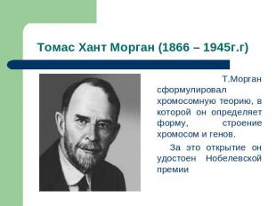 Томас Хант Морган (1866 – 1945г.г) Т.Морган сформулировал хромосомную теорию, в