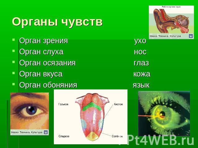 Орган зрения ухо Орган зрения ухо Орган слуха нос Орган осязания глаз Орган вкуса кожа Орган обоняния язык