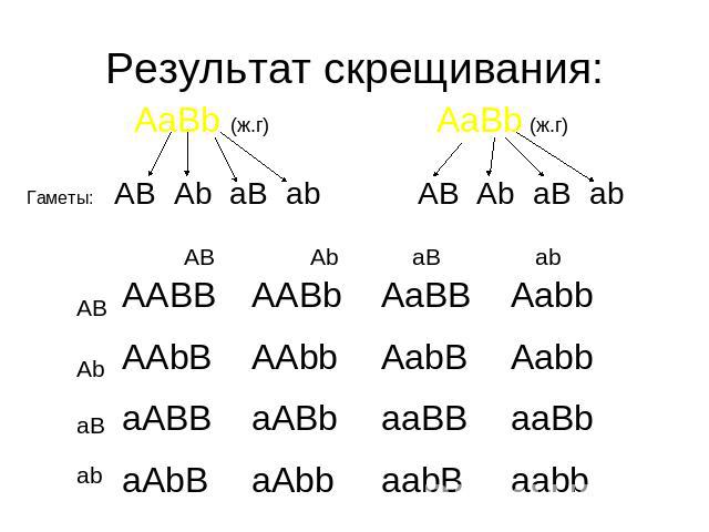 Результат скрещивания: AaBb (ж.г) AaBb (ж.г) Гаметы: AB Ab aB ab AB Ab aB ab