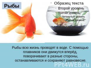 Рыбы Рыбы всю жизнь проводят в воде. C помощью плавников они движутся вперёд, по