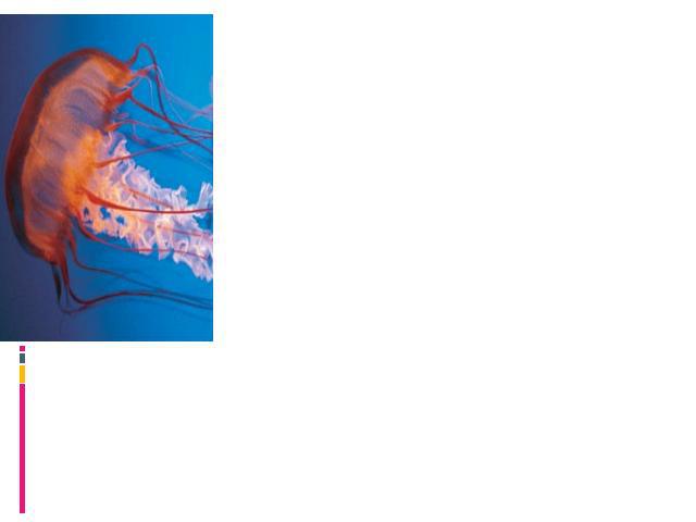 Яд помогает охотиться кишечнополостным — медузам и актиниям. Почти все виды медуз могут нанести человеку сильный ожог, а такие, как австралийская морская оса, вызывают некроз тканей и нарушение сердечной деятельности. На глубине пловец, пораженный д…