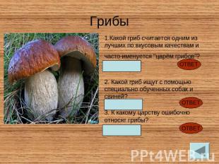 Грибы Какой гриб считается одним из лучших по вкусовым качествам и часто именует