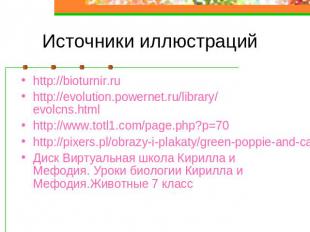 Источники иллюстраций http://bioturnir.ru http://evolution.powernet.ru/library/e