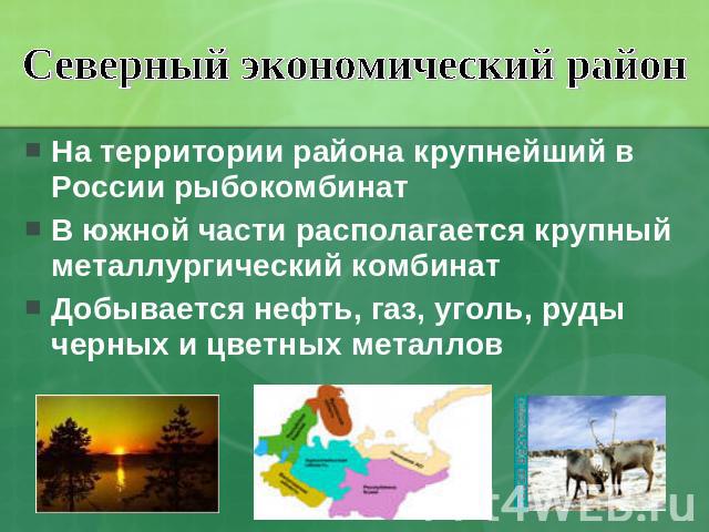 Северный экономический район На территории района крупнейший в России рыбокомбинат В южной части располагается крупный металлургический комбинат Добывается нефть, газ, уголь, руды черных и цветных металлов