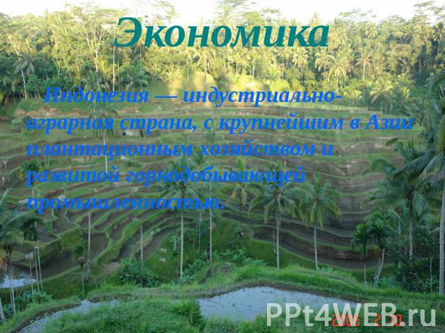 Экономика Индонезия — индустриально-аграрная страна, с крупнейшим в Азии плантационным хозяйством и развитой горнодобывающей промышленностью.