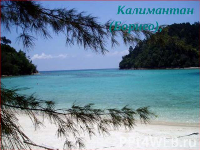 Калимантан (Борнео),